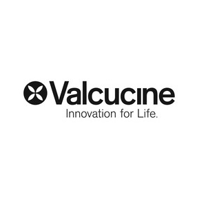 Logo by VALCUCINE